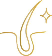 Dryness Brittleness & Frizz